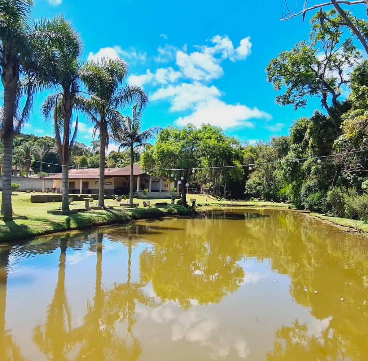 Chácara à venda em Embu-Guaçu, com 4 quartos, 5000m² - Corretora de Imóveis - Jéssica Gomes.