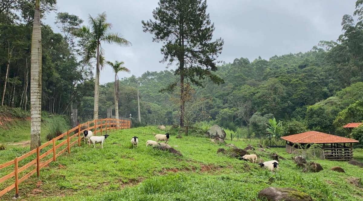 Sítio à venda em São Roque, com 8 quartos, 188000m² - Corretora de Imóveis - Jéssica Gomes.